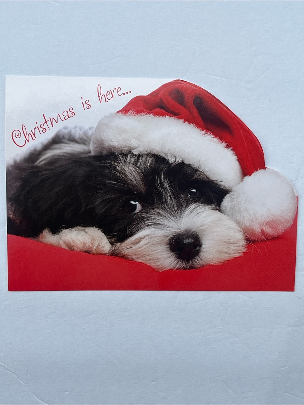 Christmas is Here Dog Card & Envelope Red Santa Hat Design